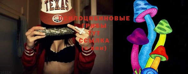 твердый Абаза