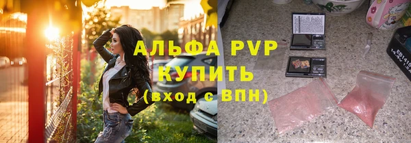 твердый Абаза