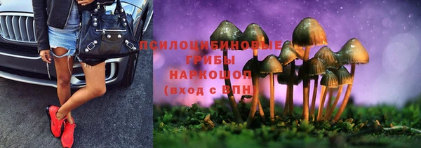 твердый Абаза