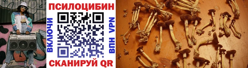 хочу наркоту  Екатеринбург  гидра ссылки  Псилоцибиновые грибы Cubensis 