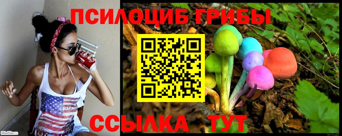 наркота  Псилоцибиновые грибы GOLDEN TEACHER  Вход с VPN  Екатеринбург 